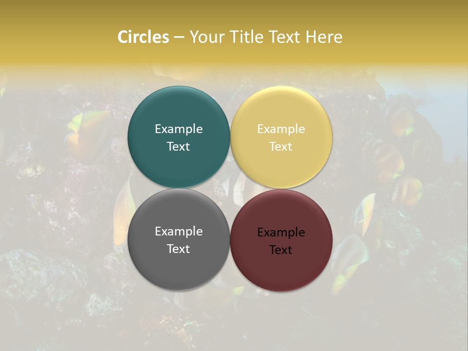 Coral Triangle Environment Coral PowerPoint Template