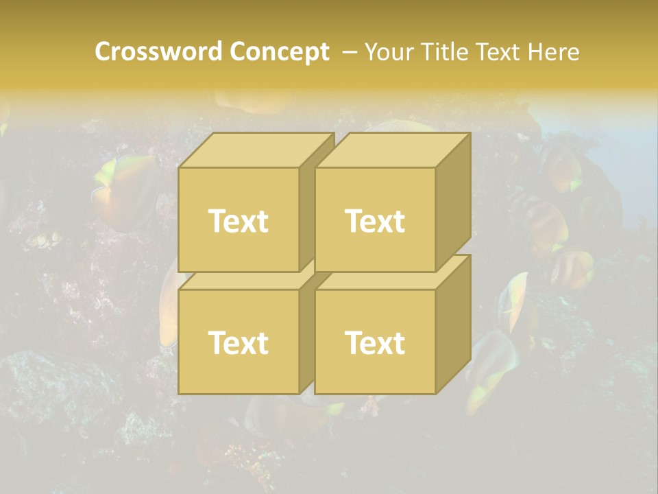 Coral Triangle Environment Coral PowerPoint Template