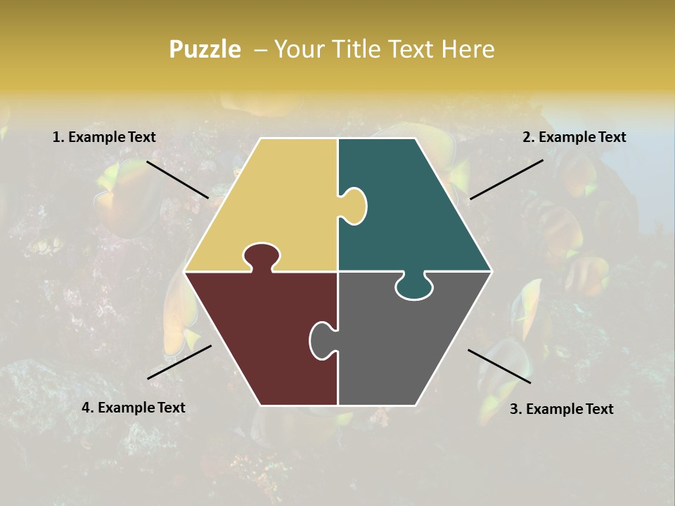 Coral Triangle Environment Coral PowerPoint Template