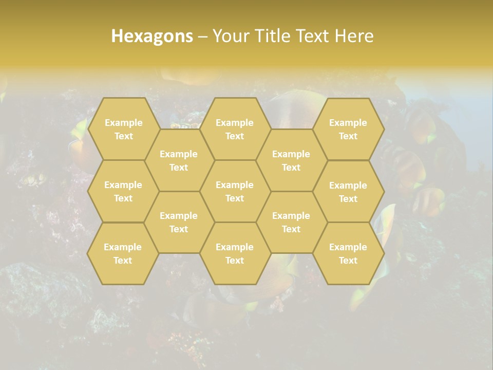 Coral Triangle Environment Coral PowerPoint Template