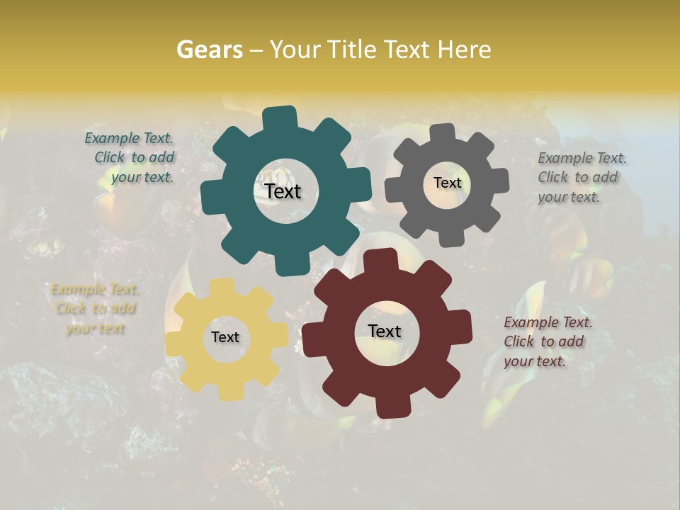 Coral Triangle Environment Coral PowerPoint Template