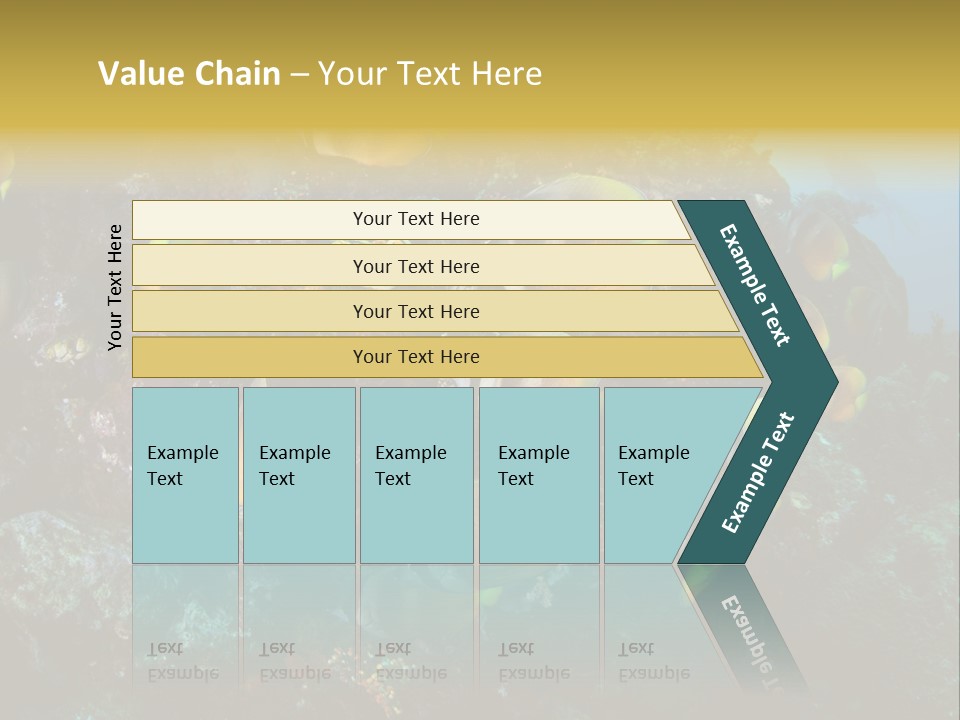 Coral Triangle Environment Coral PowerPoint Template