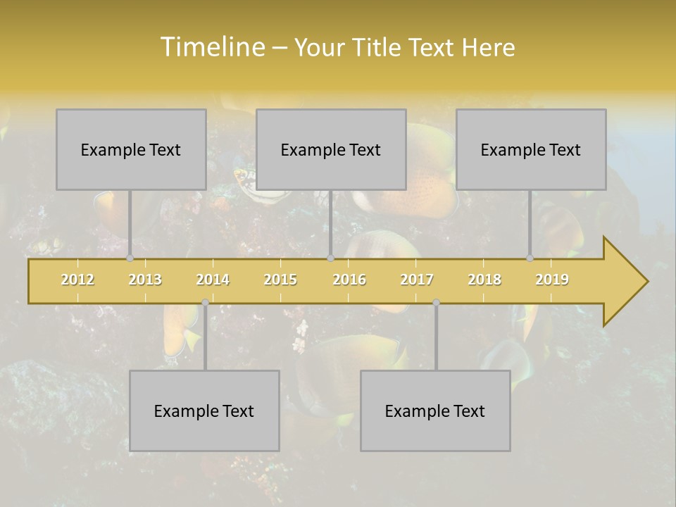 Coral Triangle Environment Coral PowerPoint Template