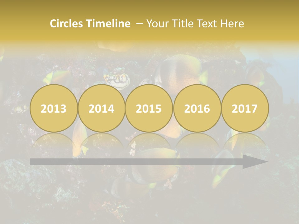 Coral Triangle Environment Coral PowerPoint Template