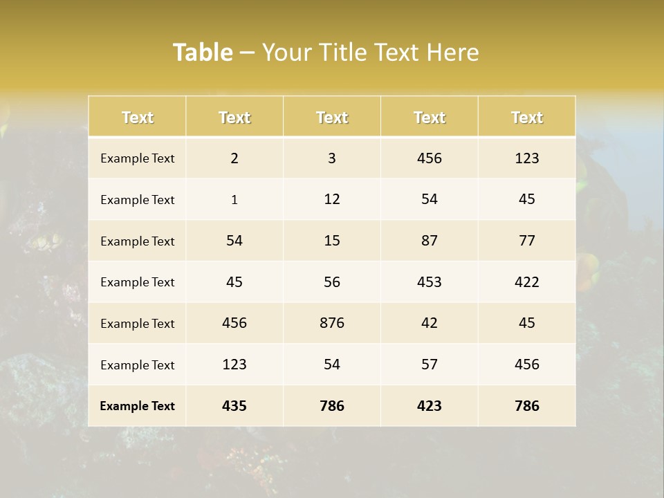Coral Triangle Environment Coral PowerPoint Template