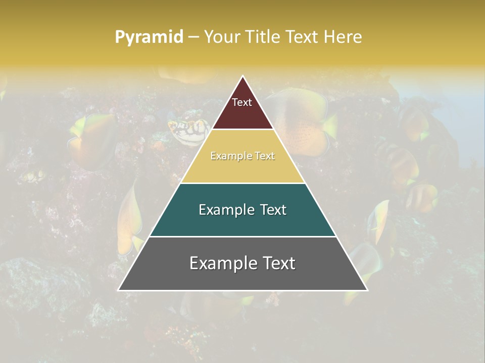 Coral Triangle Environment Coral PowerPoint Template