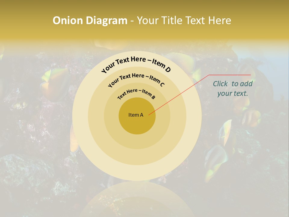 Coral Triangle Environment Coral PowerPoint Template