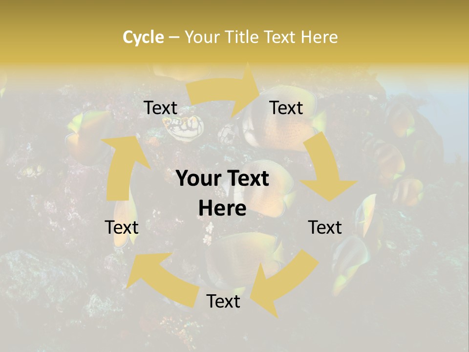 Coral Triangle Environment Coral PowerPoint Template