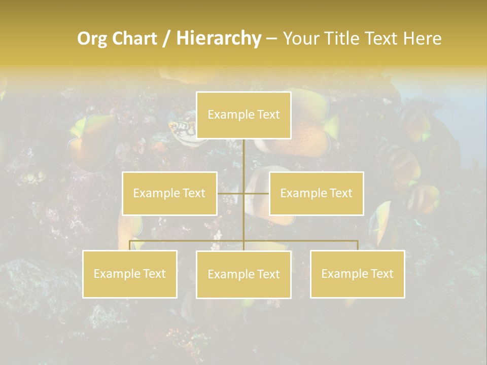 Coral Triangle Environment Coral PowerPoint Template