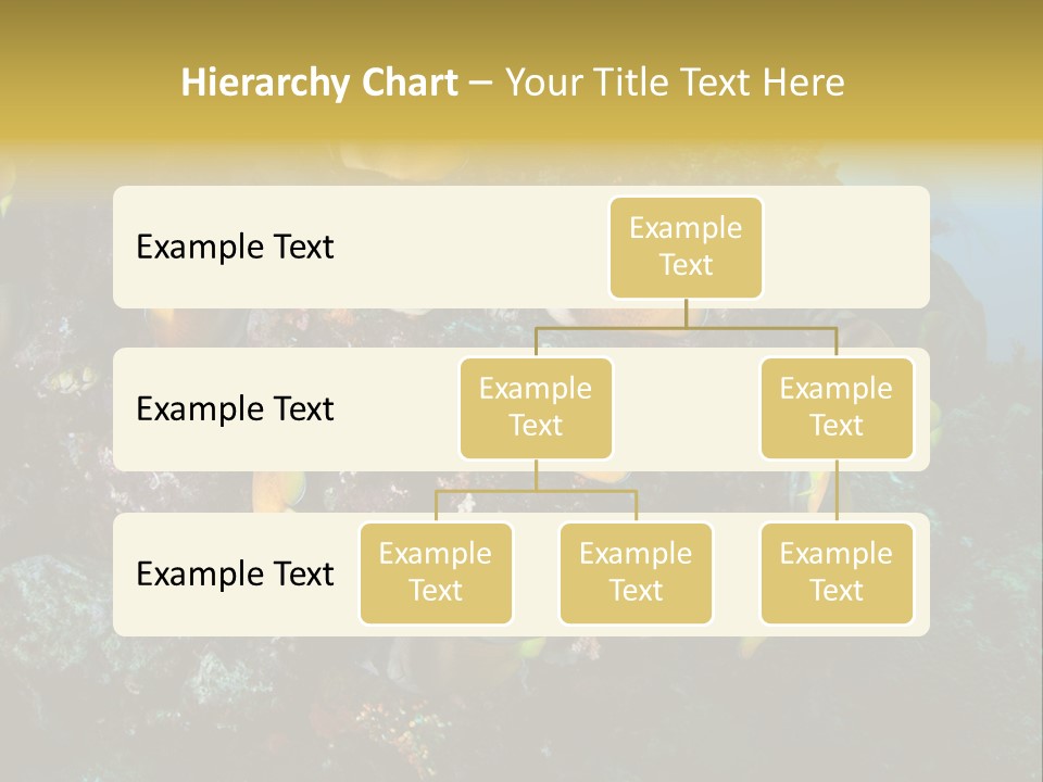Coral Triangle Environment Coral PowerPoint Template