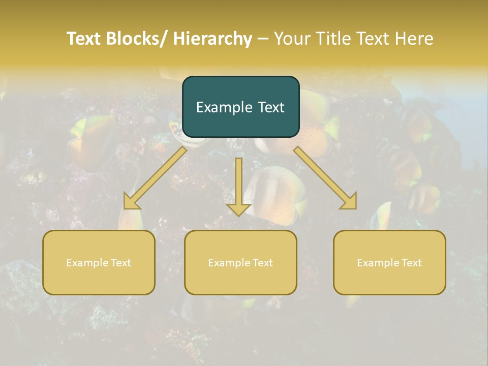 Coral Triangle Environment Coral PowerPoint Template
