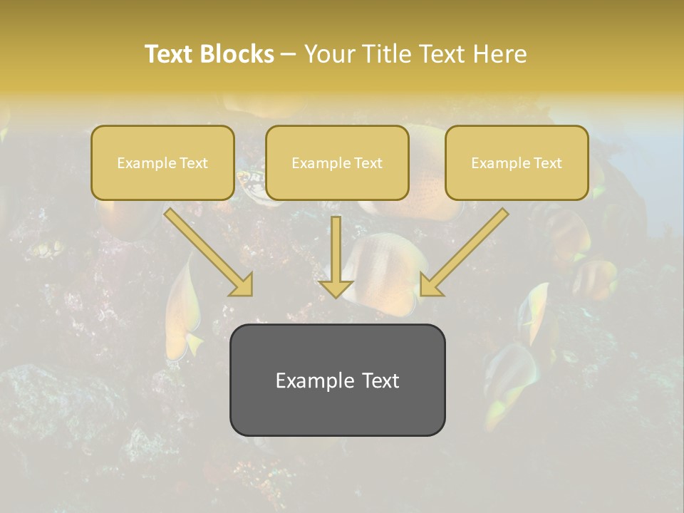 Coral Triangle Environment Coral PowerPoint Template