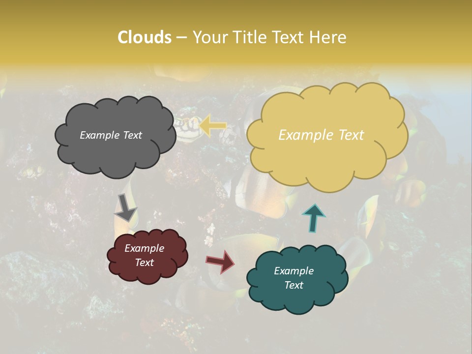 Coral Triangle Environment Coral PowerPoint Template