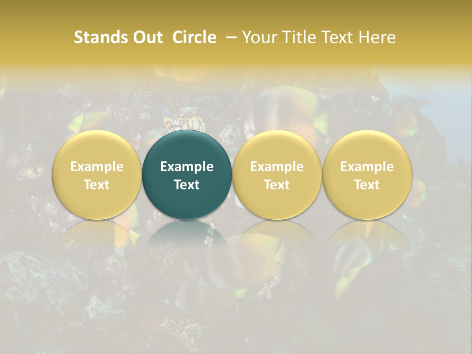 Coral Triangle Environment Coral PowerPoint Template