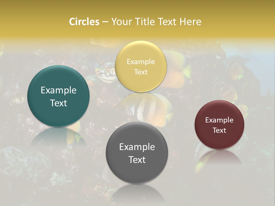 Coral Triangle Environment Coral PowerPoint Template