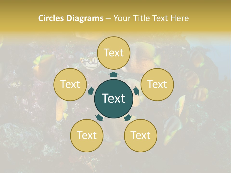 Coral Triangle Environment Coral PowerPoint Template