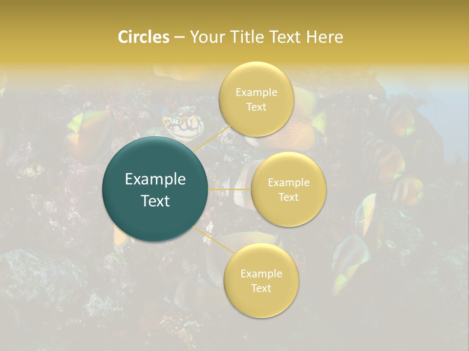 Coral Triangle Environment Coral PowerPoint Template