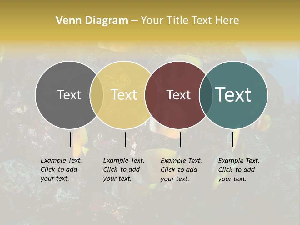Coral Triangle Environment Coral PowerPoint Template