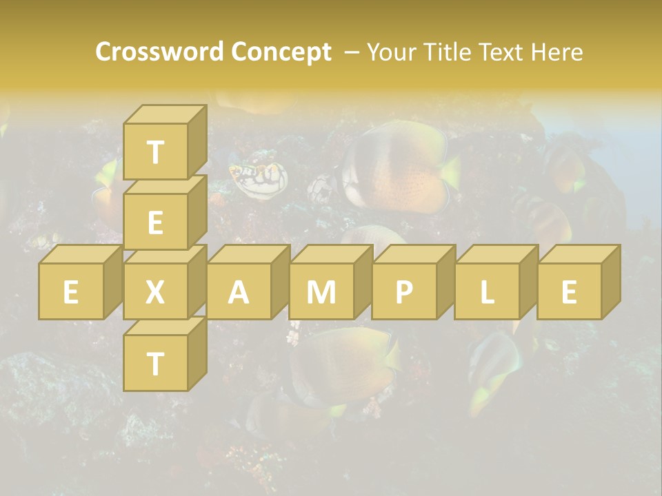 Coral Triangle Environment Coral PowerPoint Template