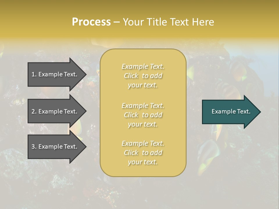 Coral Triangle Environment Coral PowerPoint Template