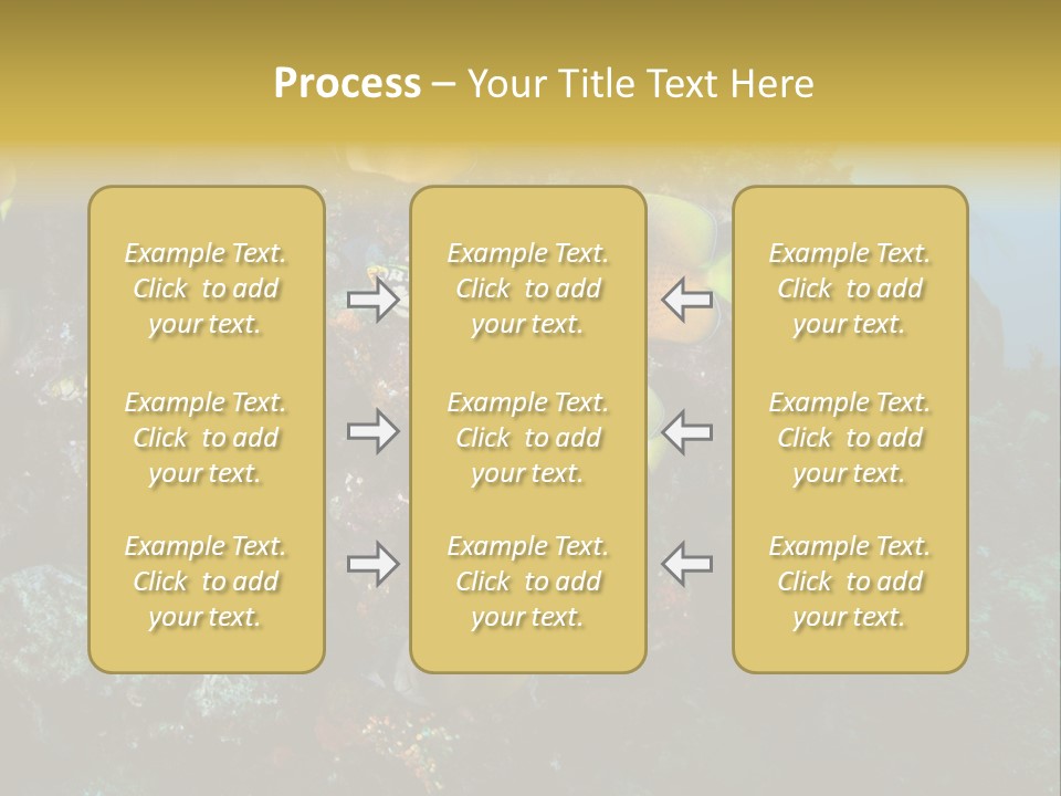 Coral Triangle Environment Coral PowerPoint Template