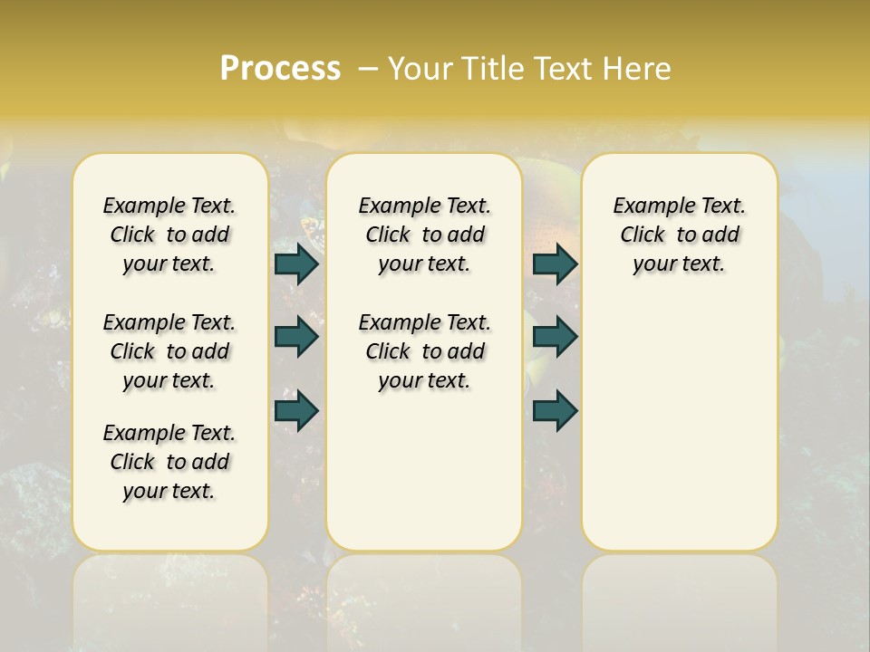 Coral Triangle Environment Coral PowerPoint Template