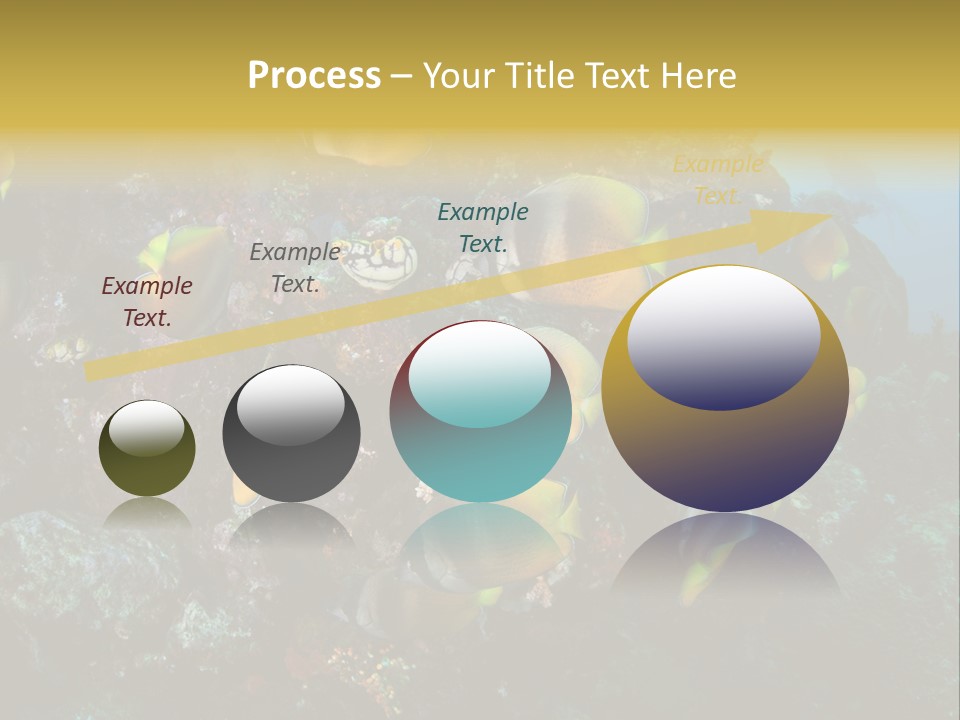 Coral Triangle Environment Coral PowerPoint Template