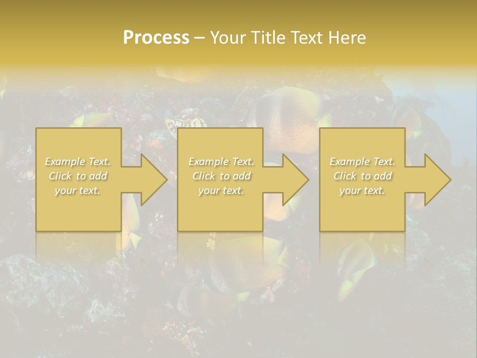 Coral Triangle Environment Coral PowerPoint Template