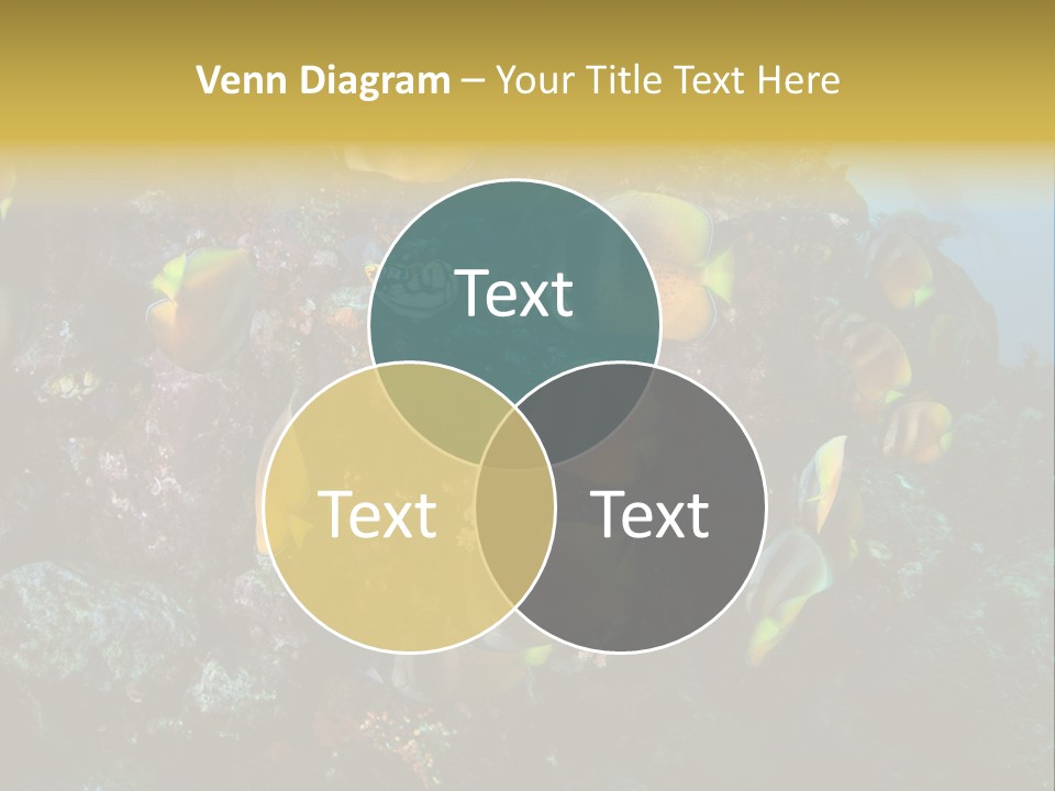 Coral Triangle Environment Coral PowerPoint Template