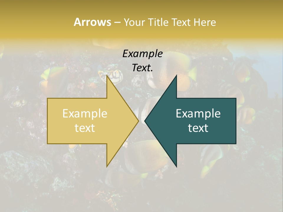 Coral Triangle Environment Coral PowerPoint Template