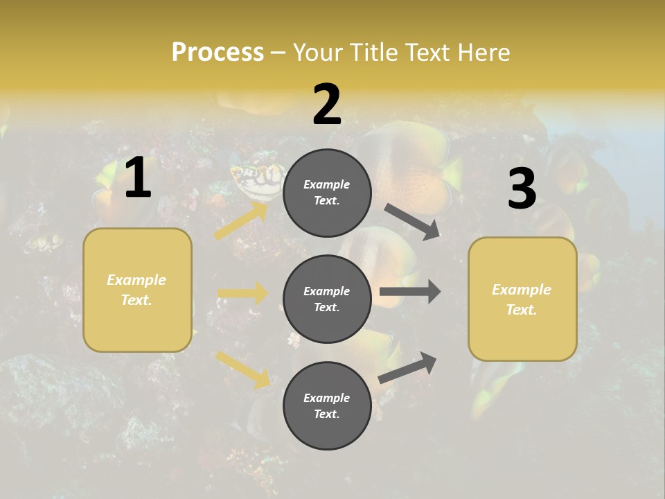 Coral Triangle Environment Coral PowerPoint Template