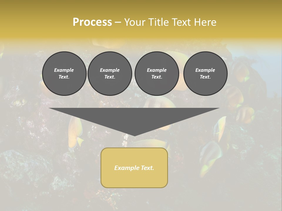 Coral Triangle Environment Coral PowerPoint Template