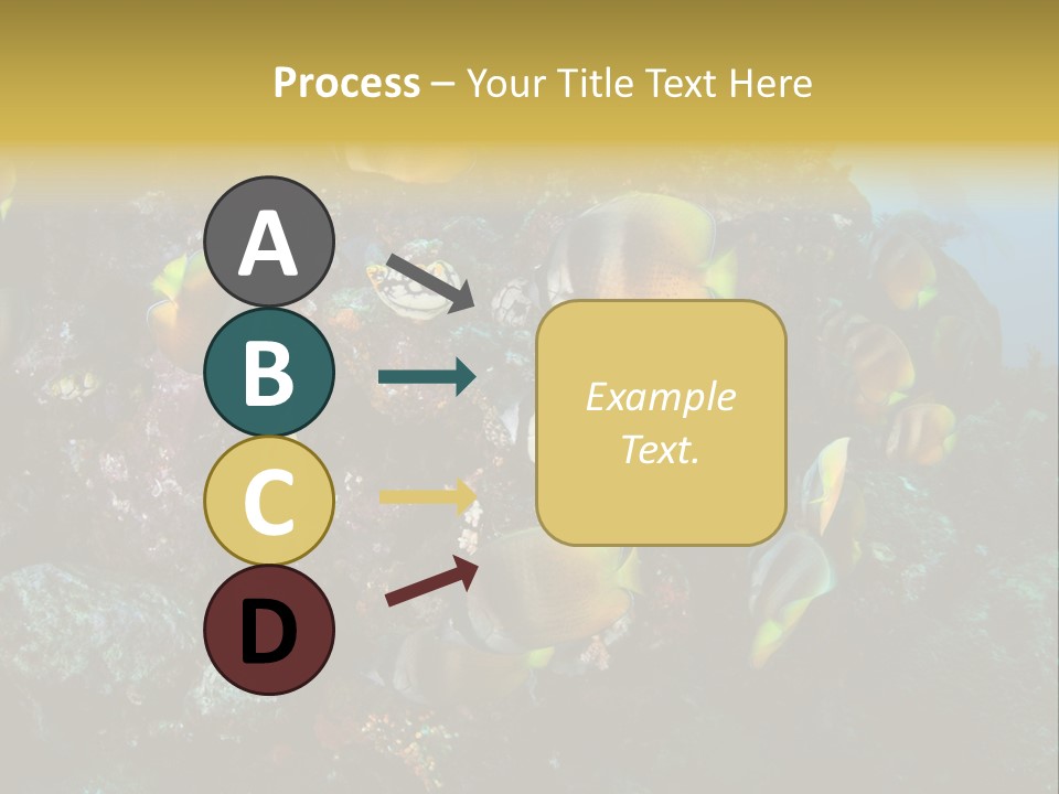 Coral Triangle Environment Coral PowerPoint Template