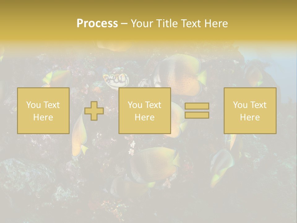 Coral Triangle Environment Coral PowerPoint Template