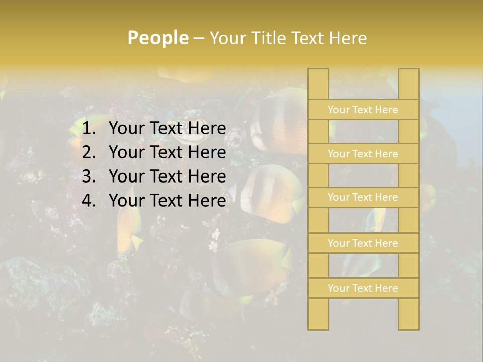Coral Triangle Environment Coral PowerPoint Template