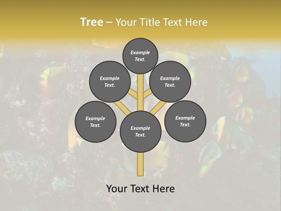 Coral Triangle Environment Coral PowerPoint Template
