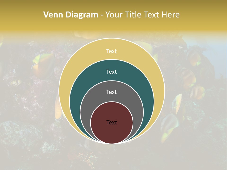 Coral Triangle Environment Coral PowerPoint Template