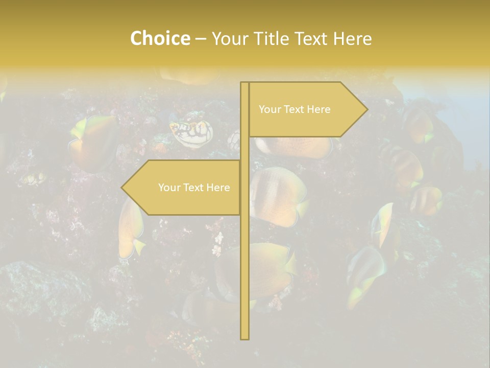 Coral Triangle Environment Coral PowerPoint Template