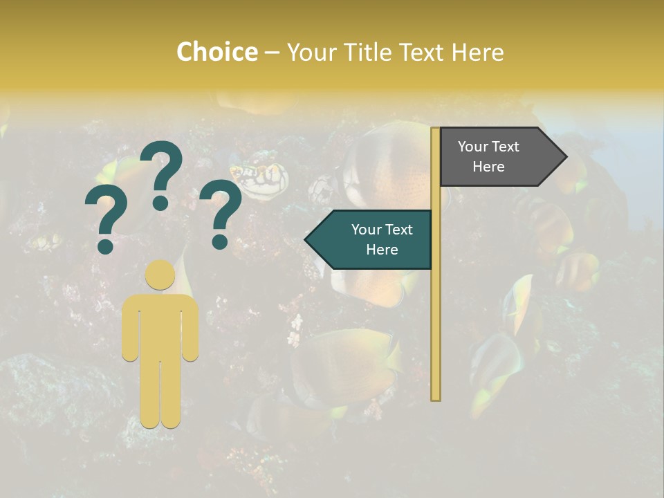 Coral Triangle Environment Coral PowerPoint Template