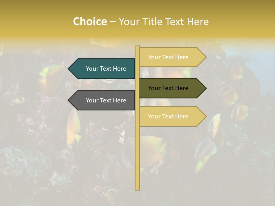 Coral Triangle Environment Coral PowerPoint Template