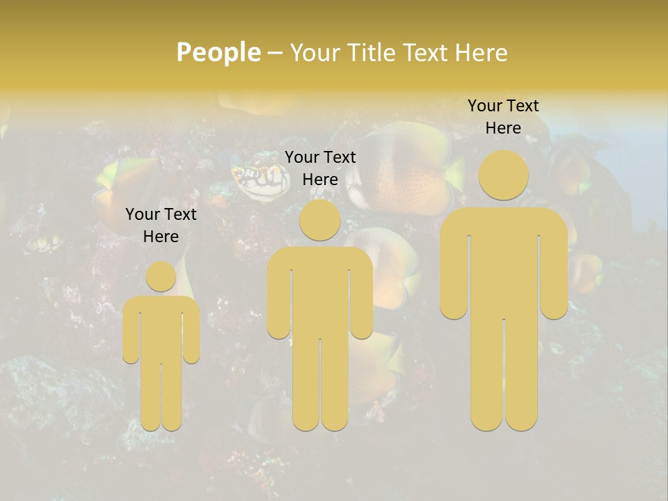 Coral Triangle Environment Coral PowerPoint Template