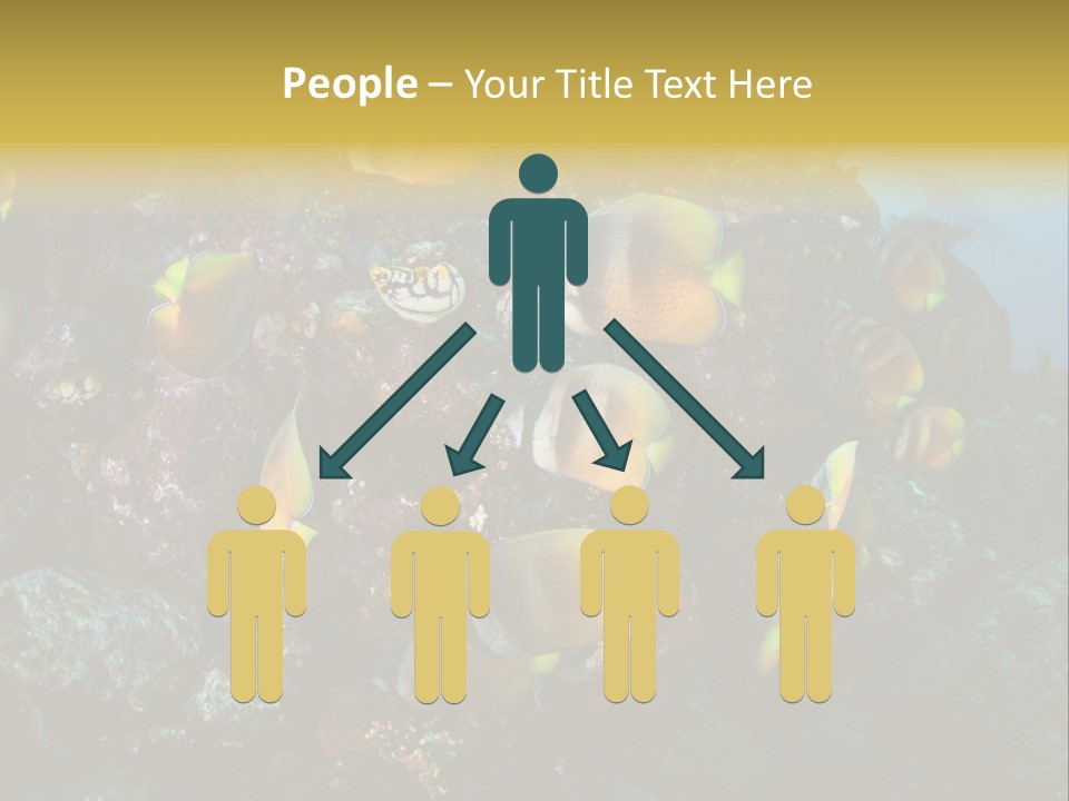 Coral Triangle Environment Coral PowerPoint Template