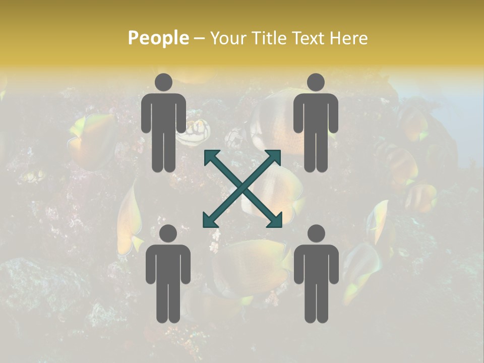 Coral Triangle Environment Coral PowerPoint Template