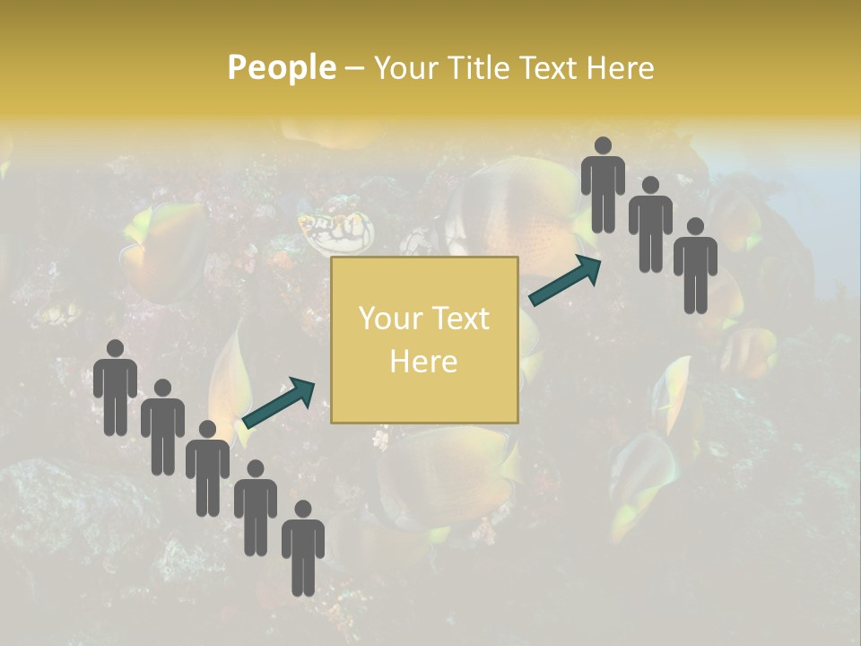 Coral Triangle Environment Coral PowerPoint Template