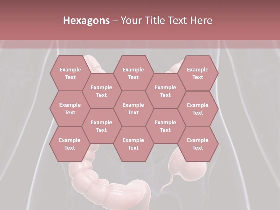 Vitals Digestive Tumor PowerPoint Template