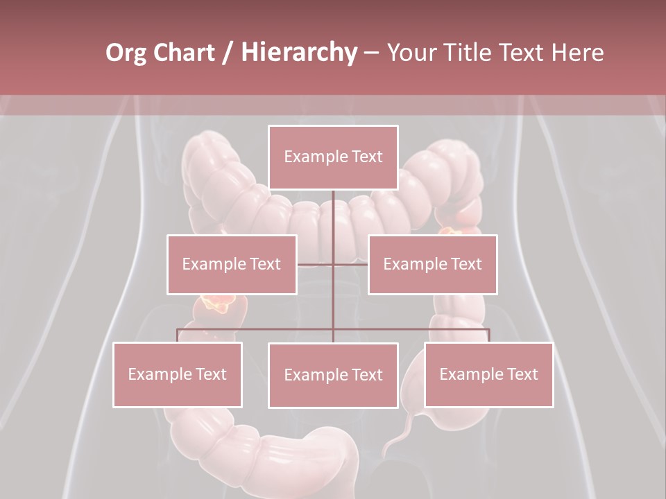 Vitals Digestive Tumor PowerPoint Template