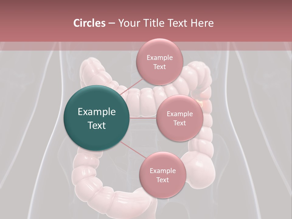 Vitals Digestive Tumor PowerPoint Template