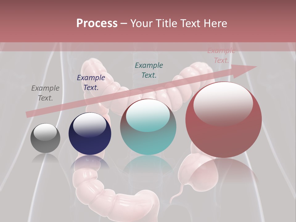 Vitals Digestive Tumor PowerPoint Template