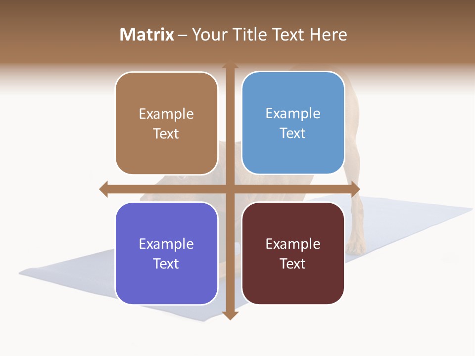 Play Bow Gold Pedigree PowerPoint Template