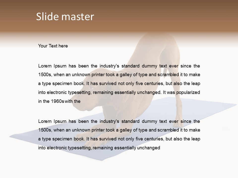 Play Bow Gold Pedigree PowerPoint Template